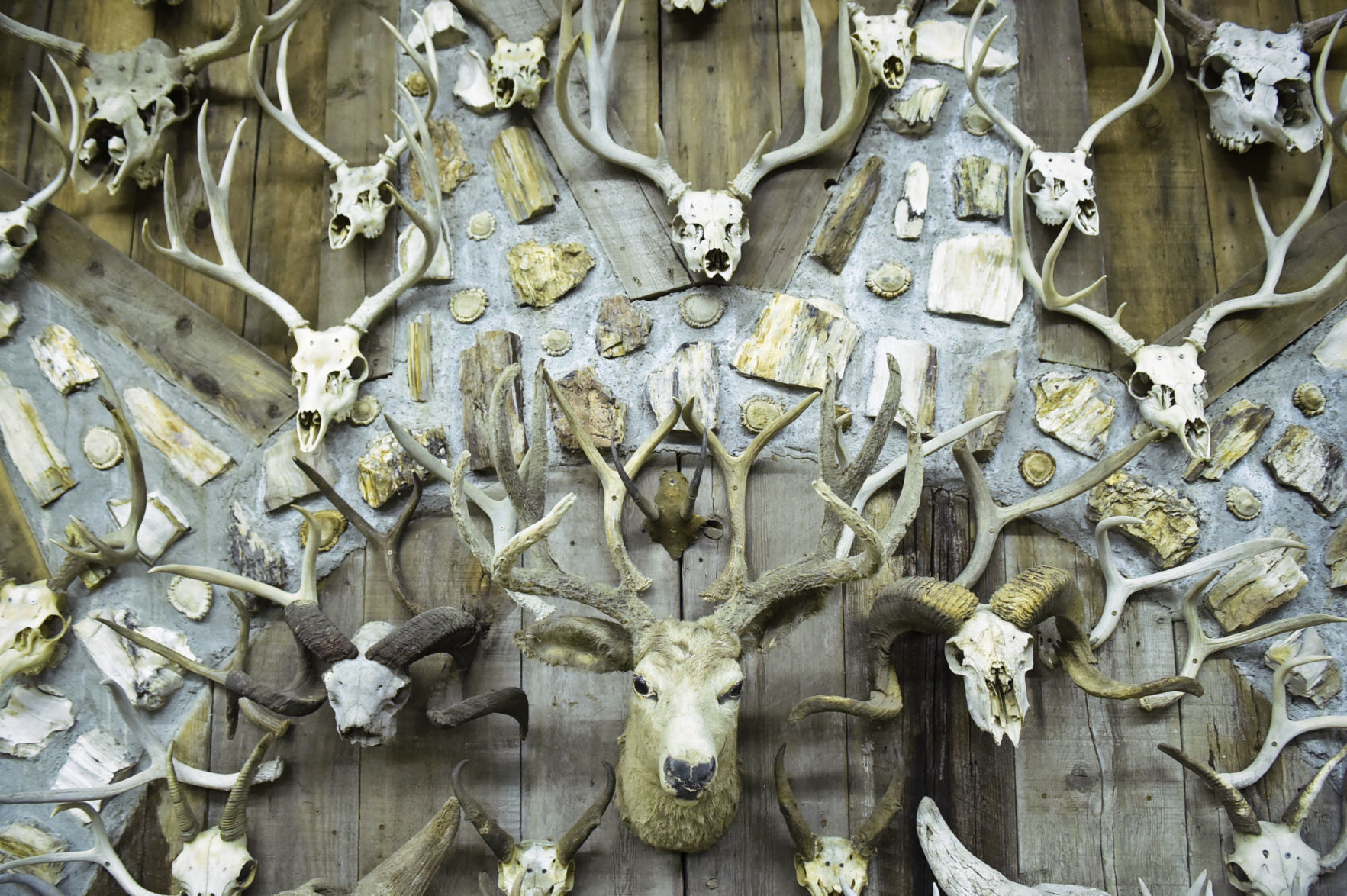 Jim's Horn House